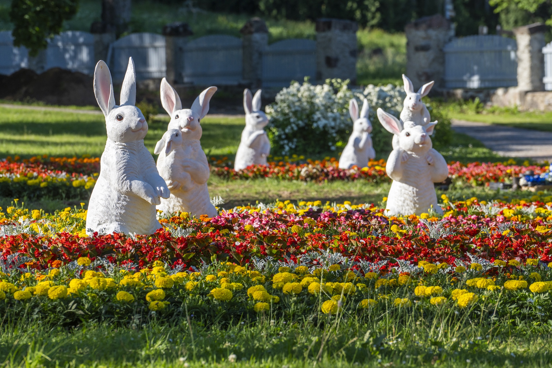 Taagepera lossi võlupark „Alice peeglitagusel maal“ - pilt